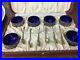 6-Sterling-Silver-Salt-Cellar-Holders-With-Cobalt-Glass-Inserts-Sterling-Spoons-01-mvh