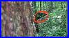 A-Neighbor-Asked-Me-To-Have-Our-Viewers-Review-This-Footage-Taken-In-The-Woods-On-Our-Property-Line-01-qea