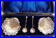 Antique-Dated-1901-Cased-Set-4pc-Sterling-Silver-Salts-Ss-Spoons-English-Shell-01-bl
