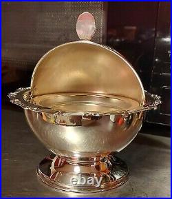 Israel Freeman & Son Silverplate Trinket Globe'Celtic' Pattern Salt Cellar