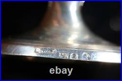 Large English Georgian Sterling Silver Salt Cellar AC6