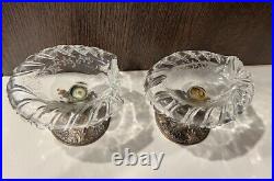 Pair Antique Bucholz & Zelt 800 Silver Dolphin and Cut Glass Master Salt Cellars