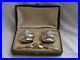 Pair-Of-Antique-French-Sterling-Silver-Crystal-Salt-Cellars-With-Spoons-Early-XX-01-fxr