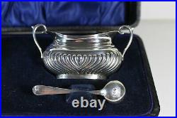 Pair Of English Antique Solid Silver Cased Salts & Spoons #2
