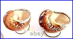 Rare Incredible Philmore 3 Turban shell salt cellars with sterling silver