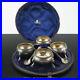 Victorian-sterling-silver-salts-with-spoons-box-Goldsmith-s-Alliance-London-212g-01-gm