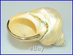 Vintage Set Of 8 Natural Turbo Shell Salt Cellar Dish With Sterling Silver Rims