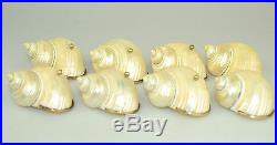 Vintage Set Of 8 Natural Turbo Shell Salt Cellar Dish With Sterling Silver Rims