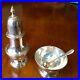 Vintage-Tiffany-Co-Sterling-Silver-Salt-Cellar-with-Spoon-and-Pepper-Shaker-01-xldq